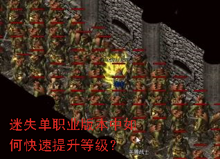 ��ʧ��ְҵ�汾����ο��������ȼ���