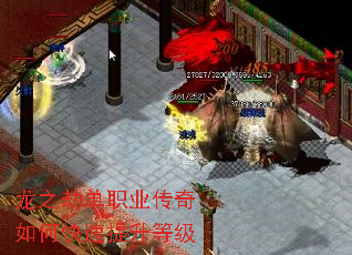 ��֮�ٵ�ְҵ������ο��������ȼ�