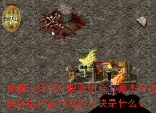 如何选择最强职业组合?豪杰合击横屏版称霸玛法的秘诀是什么? 如何选择最强职业组合?豪杰合击横屏版称霸玛法的秘诀是什么?
