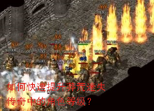 如何快速提升莽荒迷失传奇中的角色等级? 如何快速提升莽荒迷失传奇中的角色等级?