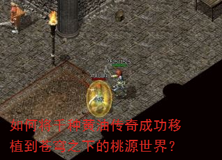 ��ν�ǧ�ֻ��ʹ���ɹ���ֲ�����֮�µ���Դ���磿