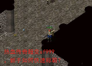 ��Ѫ���泬��sf999��������ο��ٳưԣ�