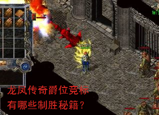 龙凤传奇爵位竞标有哪些制胜秘籍? 龙凤传奇爵位竞标有哪些制胜秘籍?
