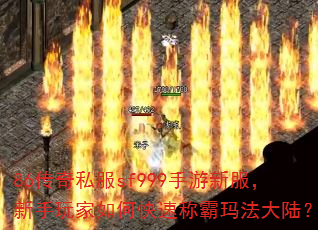 86����˽��sf999�����·������������ο��ٳư��귨��½��