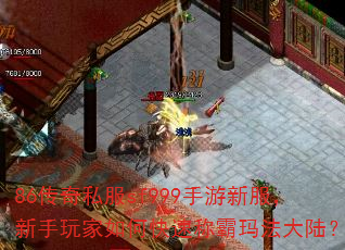 86����˽��sf999�����·������������ο��ٳư��귨��½��