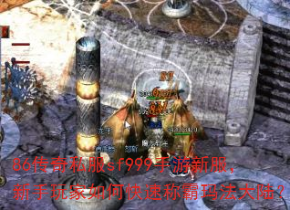 86����˽��sf999�����·������������ο��ٳư��귨��½��