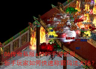 86����˽��sf999�����·������������ο��ٳư��귨��½��