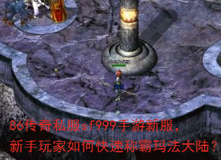 86����˽��sf999�����·������������ο��ٳư��귨��½��