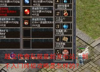 ���䴫��˽�����·���վ�����������ռ������������ģ�