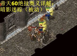 帝天60绝技奥义详解：暗影迷踪（被动）