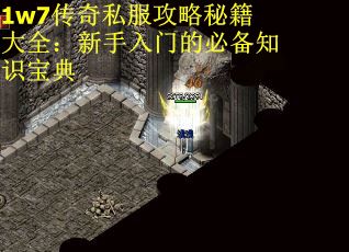 1w7传奇私服攻略秘籍大全：新手入门的必备知识宝典