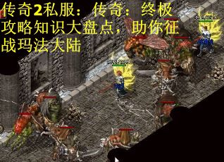 传奇2私服：传奇：终极攻略知识大盘点，助你征战玛法大陆