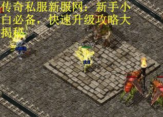 传奇私服新服网：新手小白必备，快速升级攻略大揭秘
