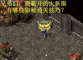 兄弟们，服霸开的大新服，有哪些隐秘通关技巧？