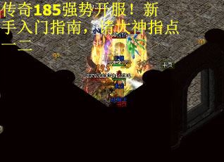 传奇185强势开服！新手入门指南，请大神指点一二