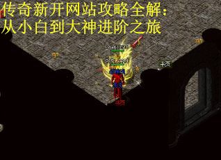 传奇新开网站攻略全解：从小白到大神进阶之旅