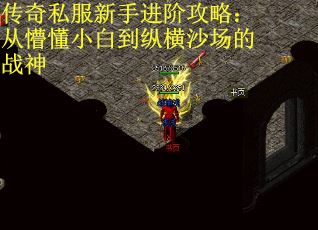 传奇私服新手进阶攻略：从懵懂小白到纵横沙场的战神