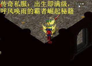 传奇私服：出生即满级，呼风唤雨的霸者崛起秘籍
