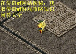 在传奇sf网站探秘：获取传奇sf游戏攻略知识问答大全 第2张