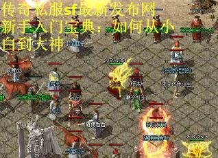 传奇私服sf最新发布网新手入门宝典：如何从小白到大神