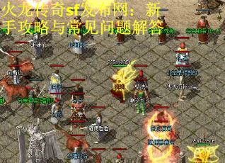 火龙传奇sf发布网：新手攻略与常见问题解答 第1张