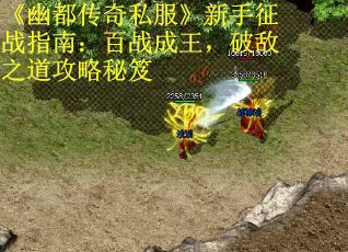 《幽都传奇私服》新手征战指南：百战成王，破敌之道攻略秘笈