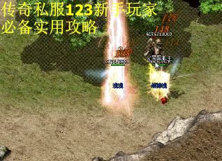传奇私服123新手玩家必备实用攻略