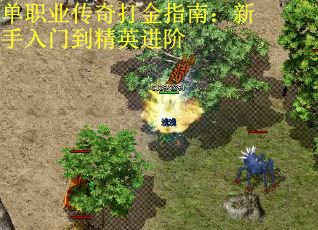 单职业传奇打金指南：新手入门到精英进阶