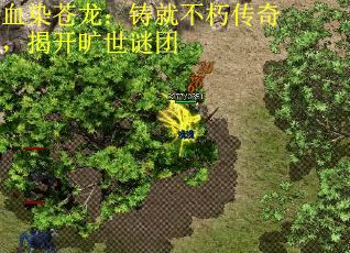 血染苍龙：铸就不朽传奇，揭开旷世谜团 第1张