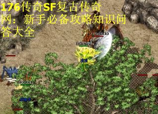 176传奇SF复古传奇网：新手必备攻略知识问答大全