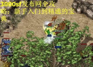 3000sf发布网全攻略：新手入门到精通的宝典 第2张