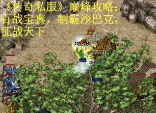 《传奇私服》巅峰攻略：百战宝典，制霸沙巴克，征战天下