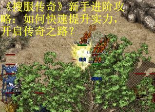 《搜服传奇》新手进阶攻略：如何快速提升实力，开启传奇之路？