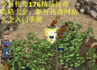 今日传奇176精品传奇攻略大全：新开传奇网站大全入门手册