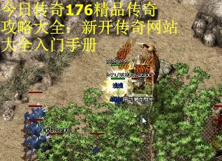 今日传奇176精品传奇攻略大全：新开传奇网站大全入门手册 第3张