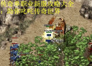 传奇单职业新服攻略大全：助你叱咤传奇世界