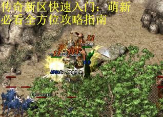 传奇新区快速入门：萌新必看全方位攻略指南
