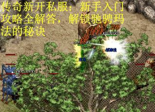 传奇新开私服：新手入门攻略全解答，解锁驰骋玛法的秘诀