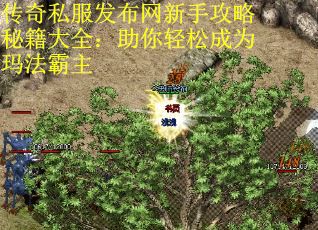 传奇私服发布网新手攻略秘籍大全：助你轻松成为玛法霸主