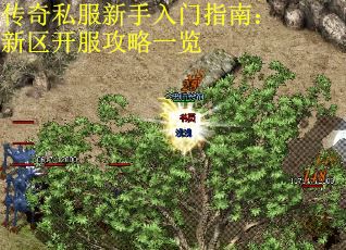 传奇私服新手入门指南：新区开服攻略一览