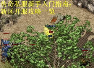 传奇私服新手入门指南：新区开服攻略一览 第2张