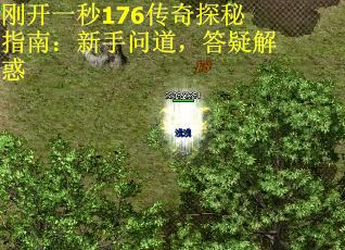 刚开一秒176传奇探秘指南：新手问道，答疑解惑
