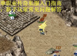单职业传奇私服入门指南：新手玩家常见问题解答