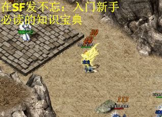 在SF发不忘：入门新手必读的知识宝典