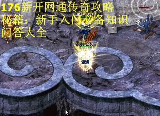 176新开网通传奇攻略秘籍：新手入门必备知识问答大全