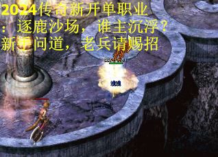 2024传奇新开单职业：逐鹿沙场，谁主沉浮？新手问道，老兵请赐招