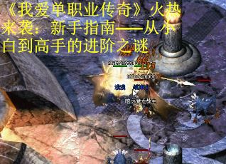 《我爱单职业传奇》火热来袭：新手指南——从小白到高手的进阶之谜