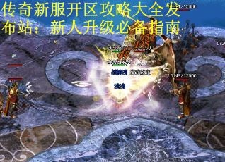 传奇新服开区攻略大全发布站：新人升级必备指南