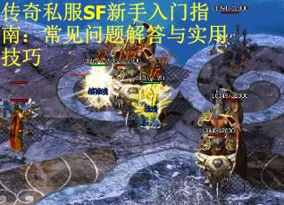传奇私服SF新手入门指南：常见问题解答与实用技巧