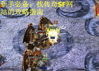 新手必备：找传奇SF网站的攻略指南